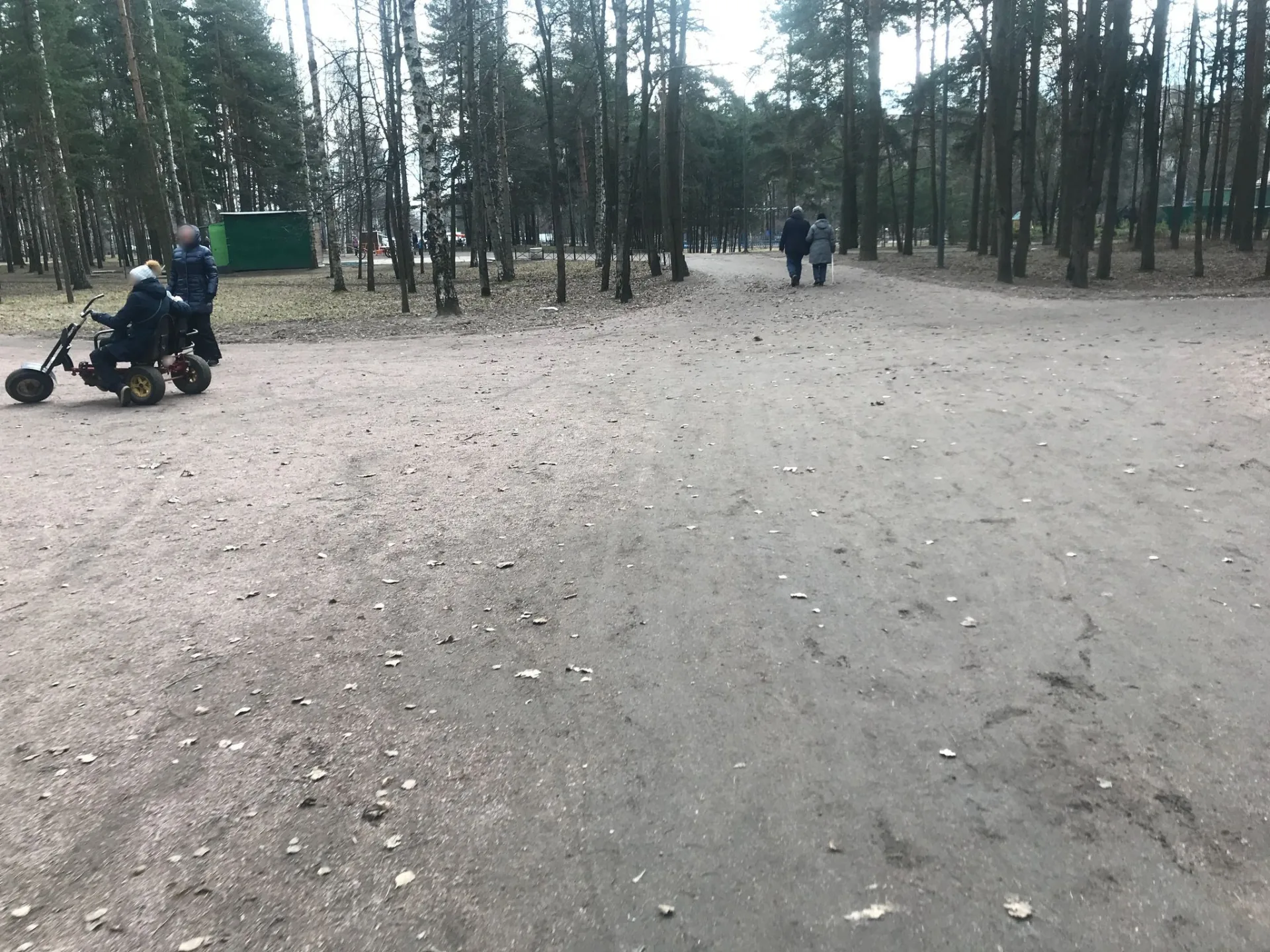 Маршрут «От Кушелевки до Сосновки», 3,1 км