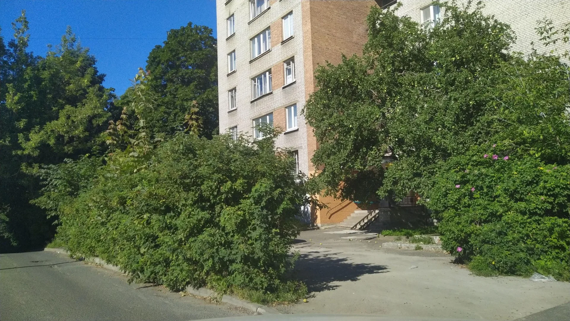 Маршрут «Озерки — Гражданка», 3,8 км