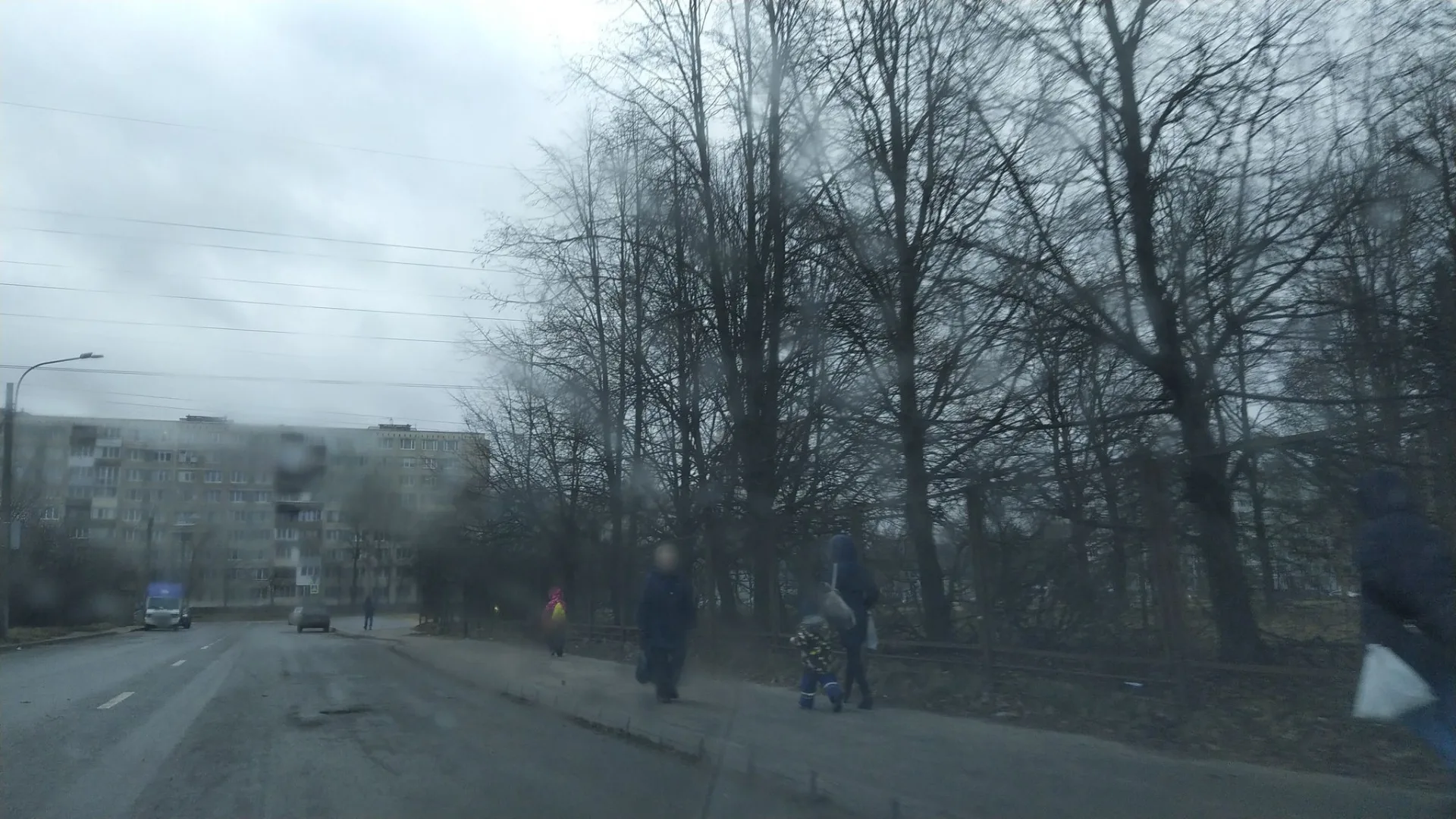 Маршрут «Озерки — Муринский парк», 0,7 км