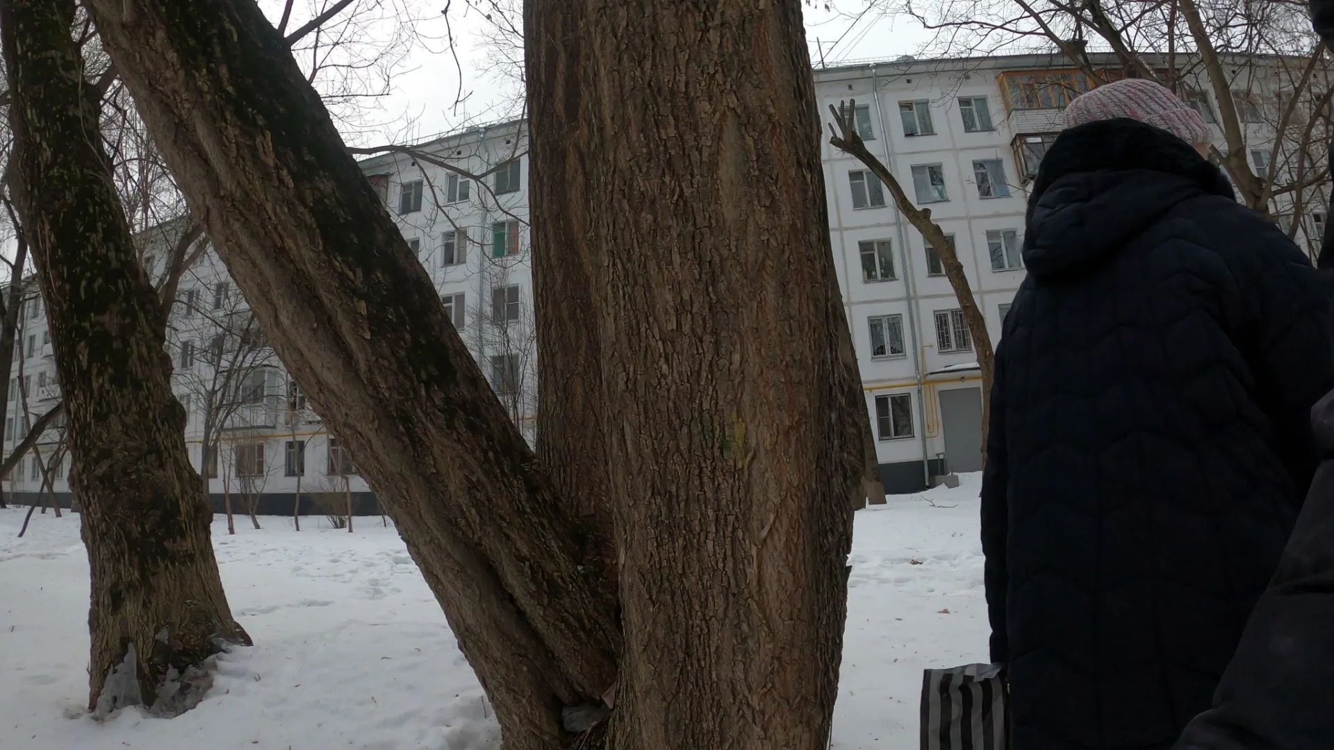 Маршрут «Озеро Тарфянка — Королёв», 52,8 км