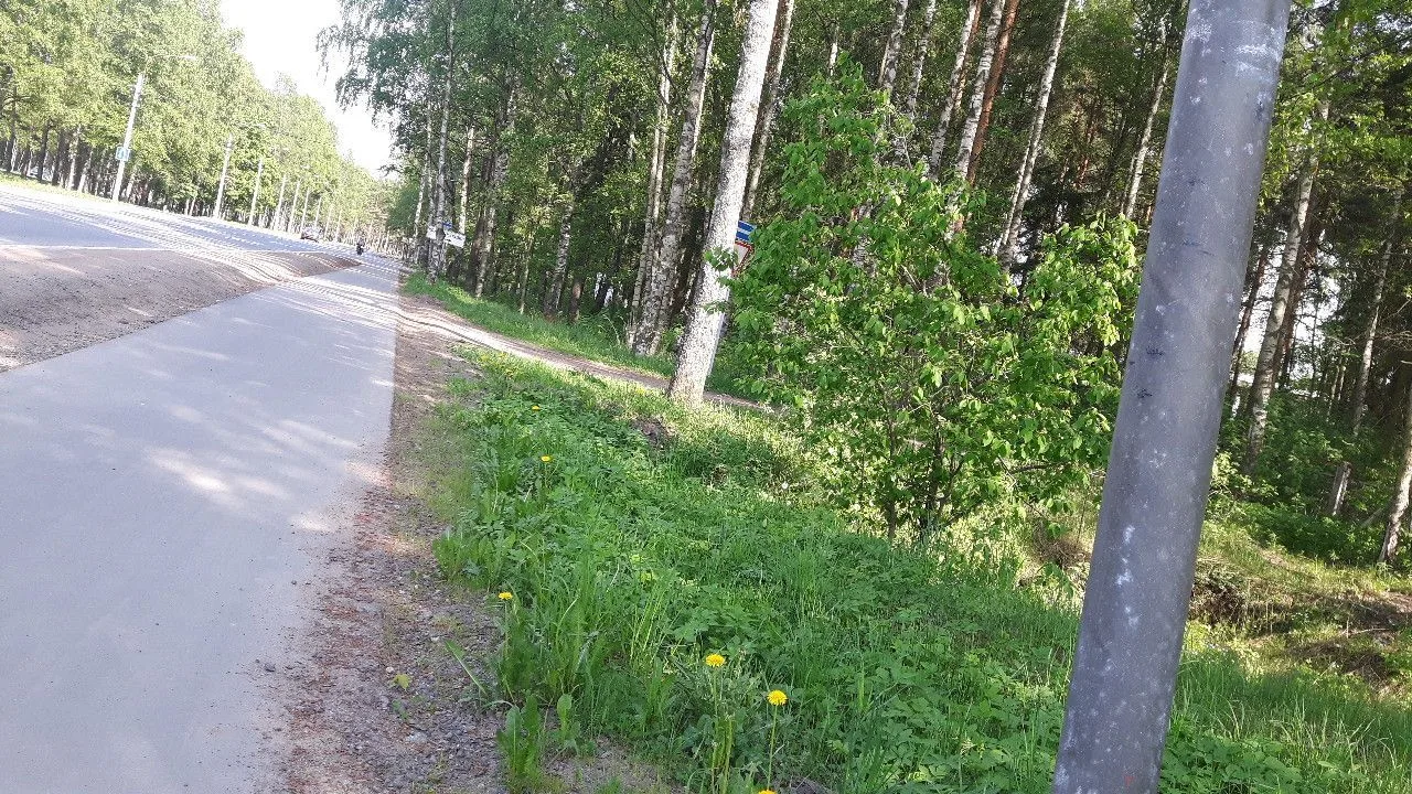 Маршрут «Панорама — форт на дамбе», 15,9 км