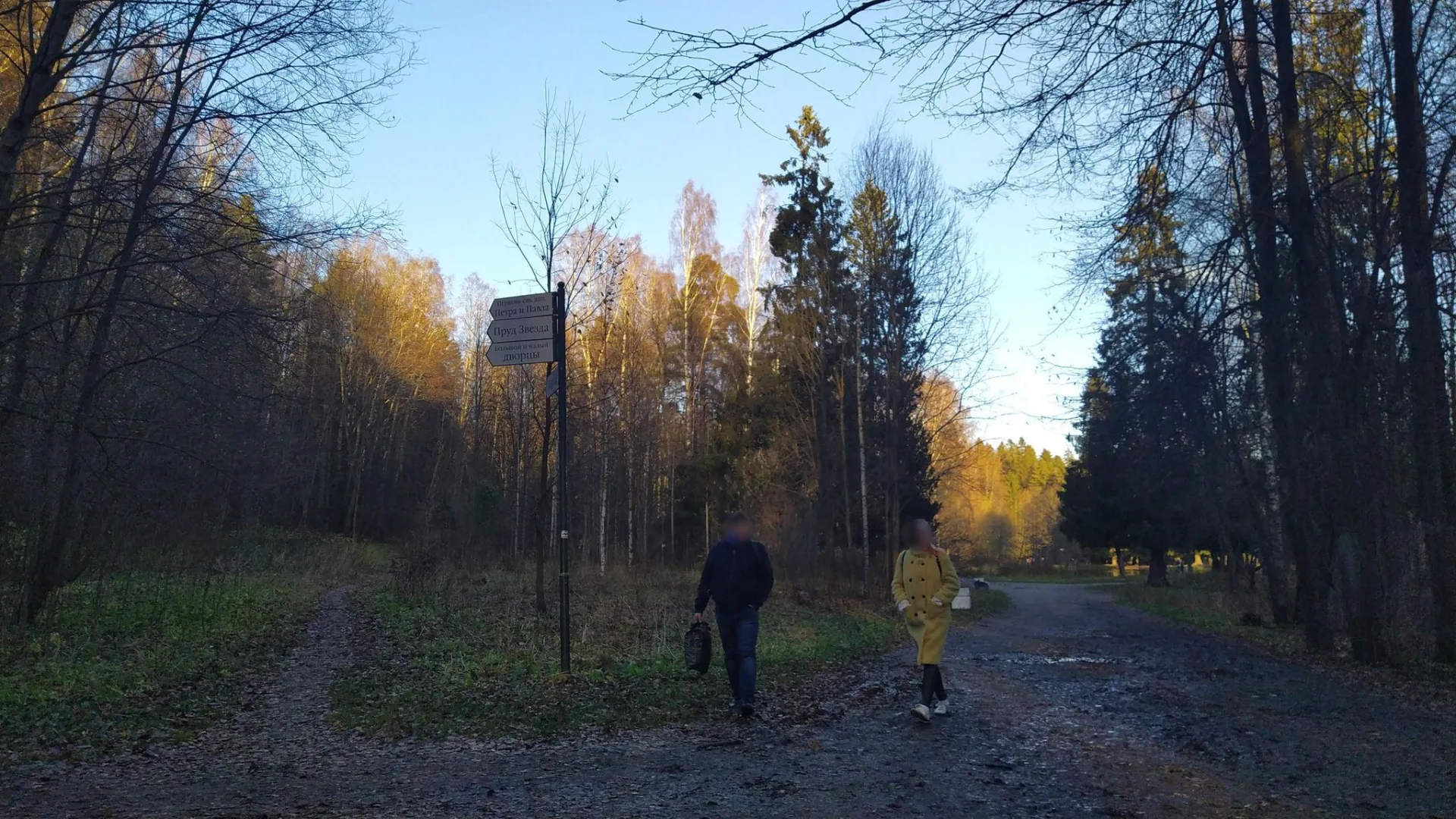 Маршрут «Парголово — Осиновая Роща», 7,2 км