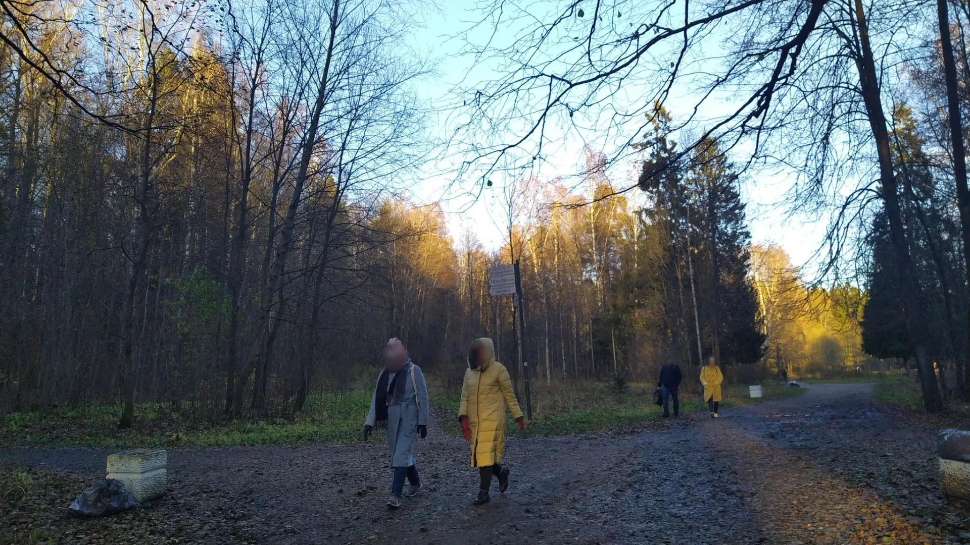 Маршрут «Парнас — Парголово», 5,9 км