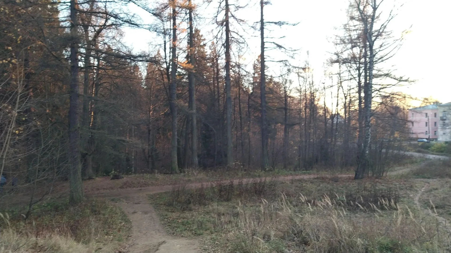 Маршрут «Парнас — Парголово», 7,0 км