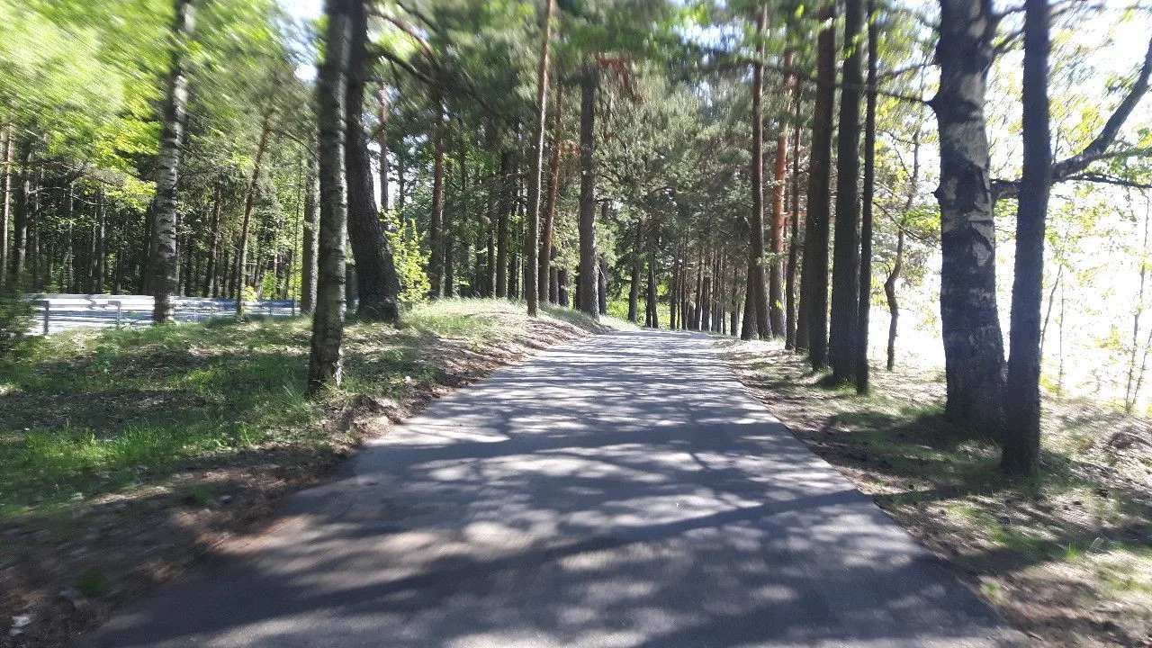 Маршрут «Парнас — Сестрорецк», 53,6 км