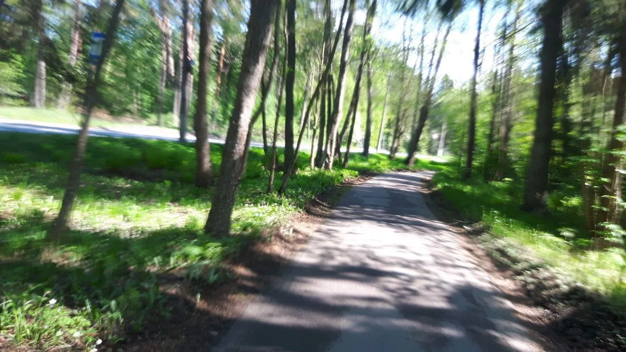 Маршрут «Парнас — Сестрорецк», 56,8 км