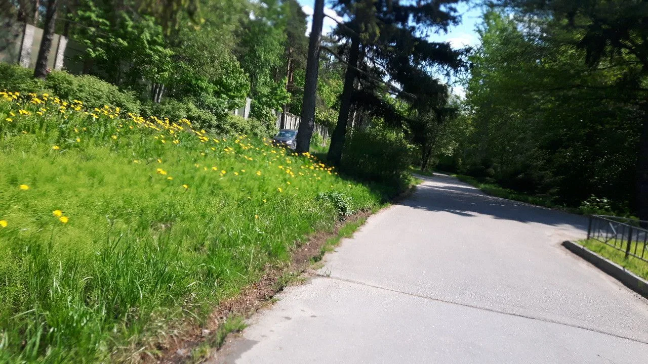 Маршрут «Парнас — Сестрорецк», 63,1 км