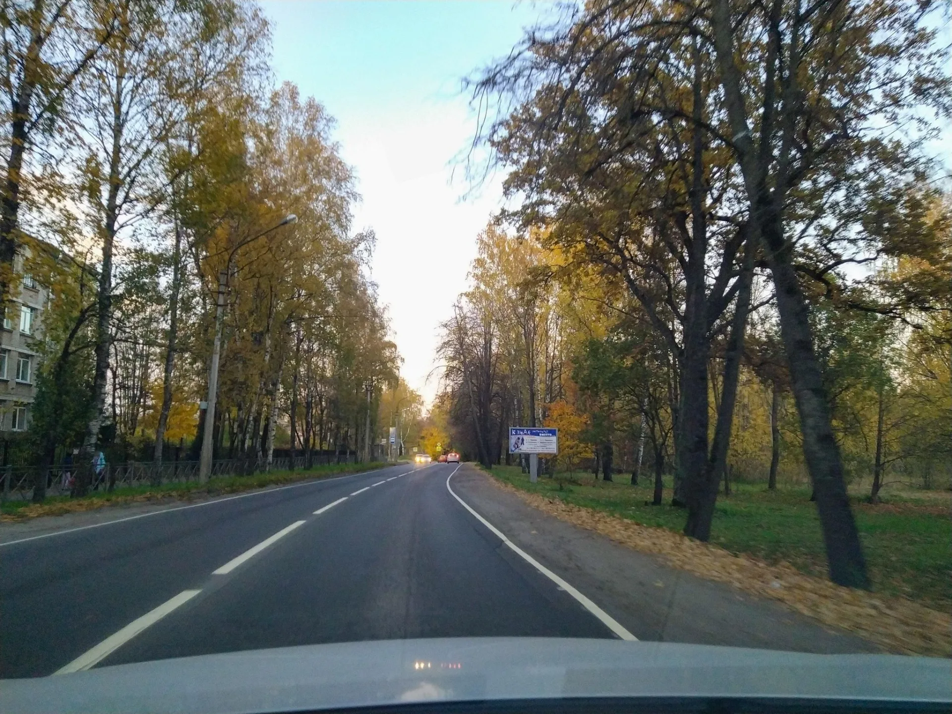 Маршрут «Павловск — Ландыши», 2,8 км