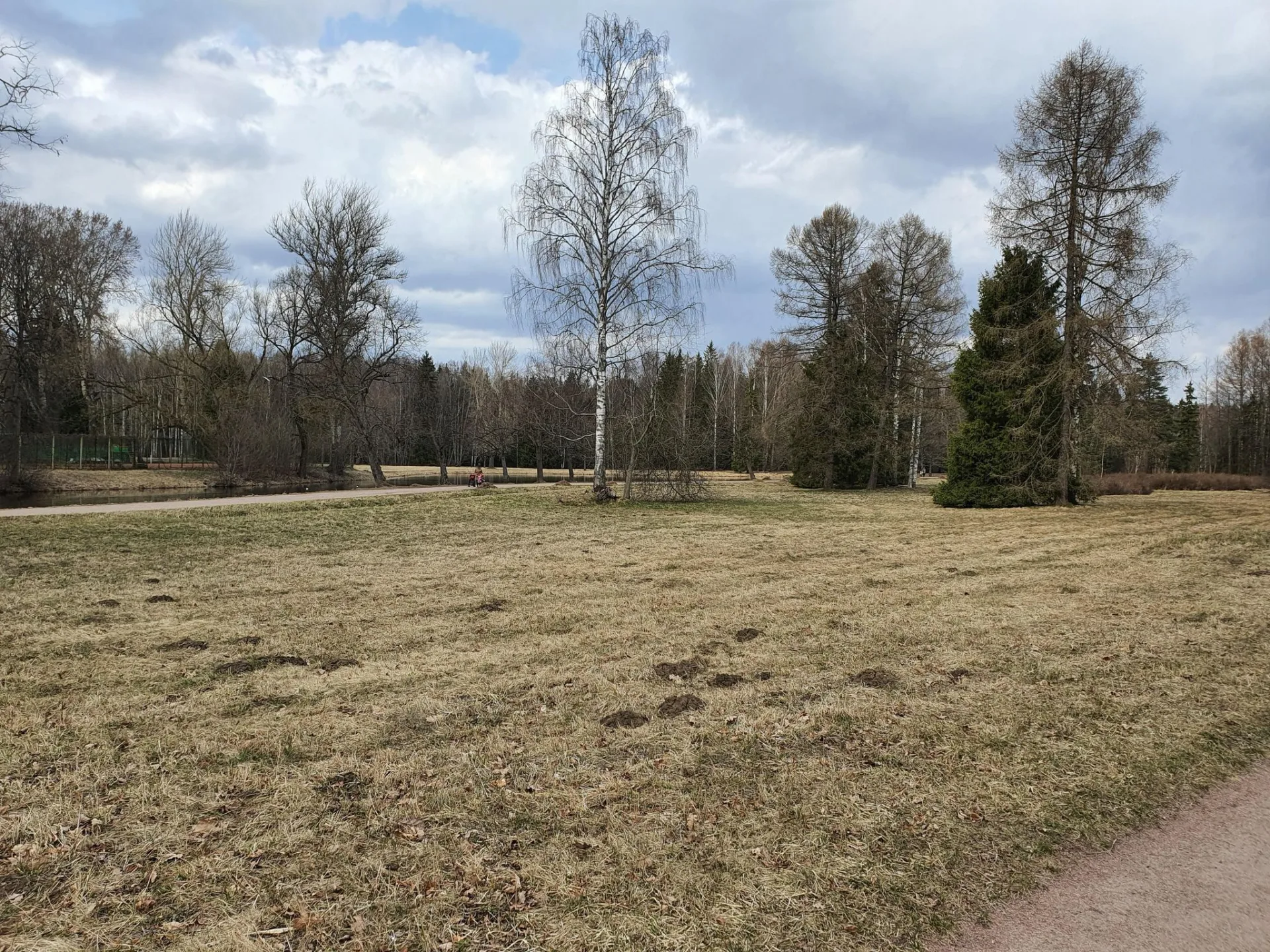 Маршрут «Павловский парк», 13,1 км