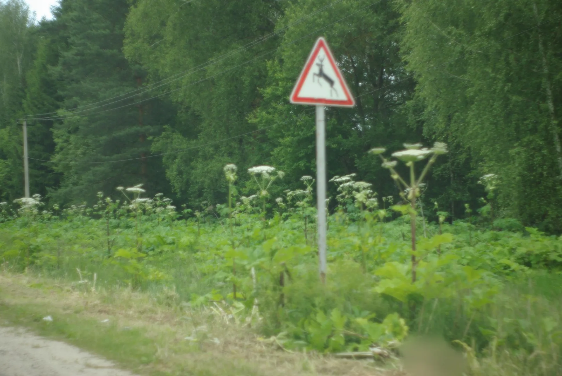 Маршрут «Пески — Коломна», 34,5 км