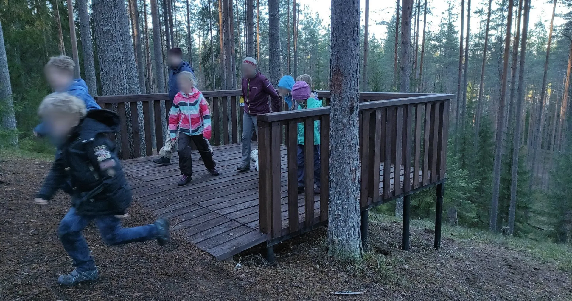 Маршрут «Петяярви», 12,3 км