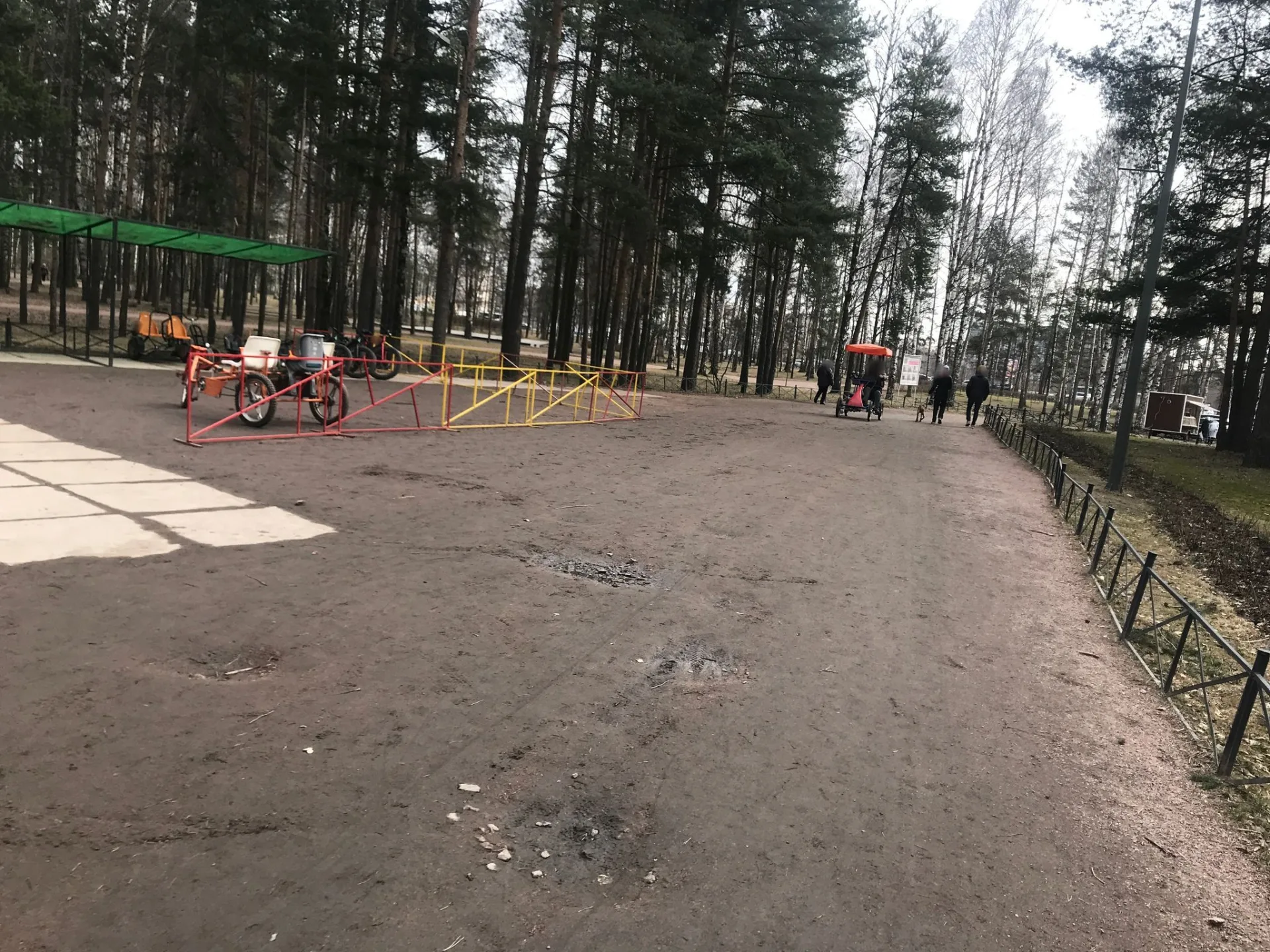 Маршрут «Петля по Сосновке», 6,0 км