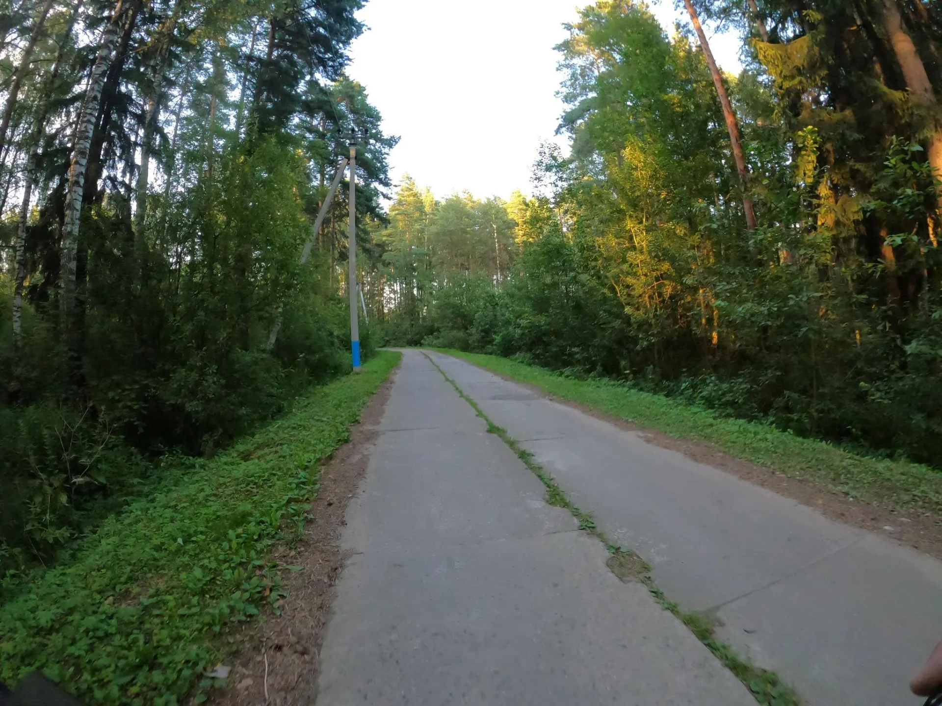 Маршрут «Петля у Загорново», 2,9 км