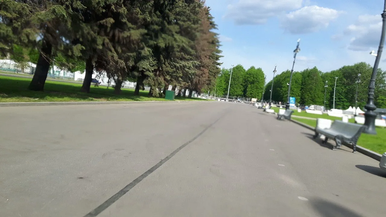 Маршрут «Петроградка — Старая Деревня», 5,6 км