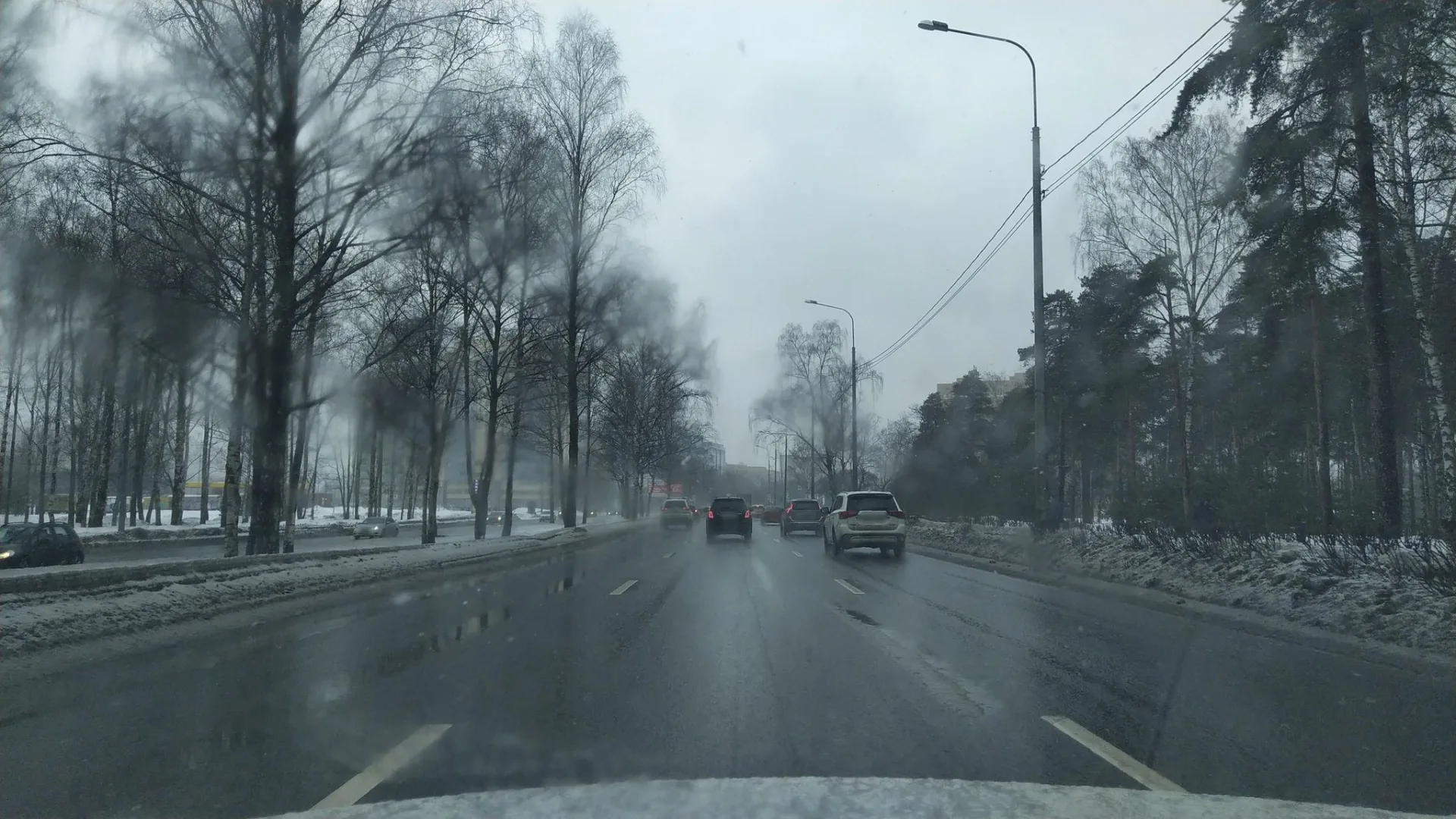Маршрут «Петроградская — Мурино», 6,4 км