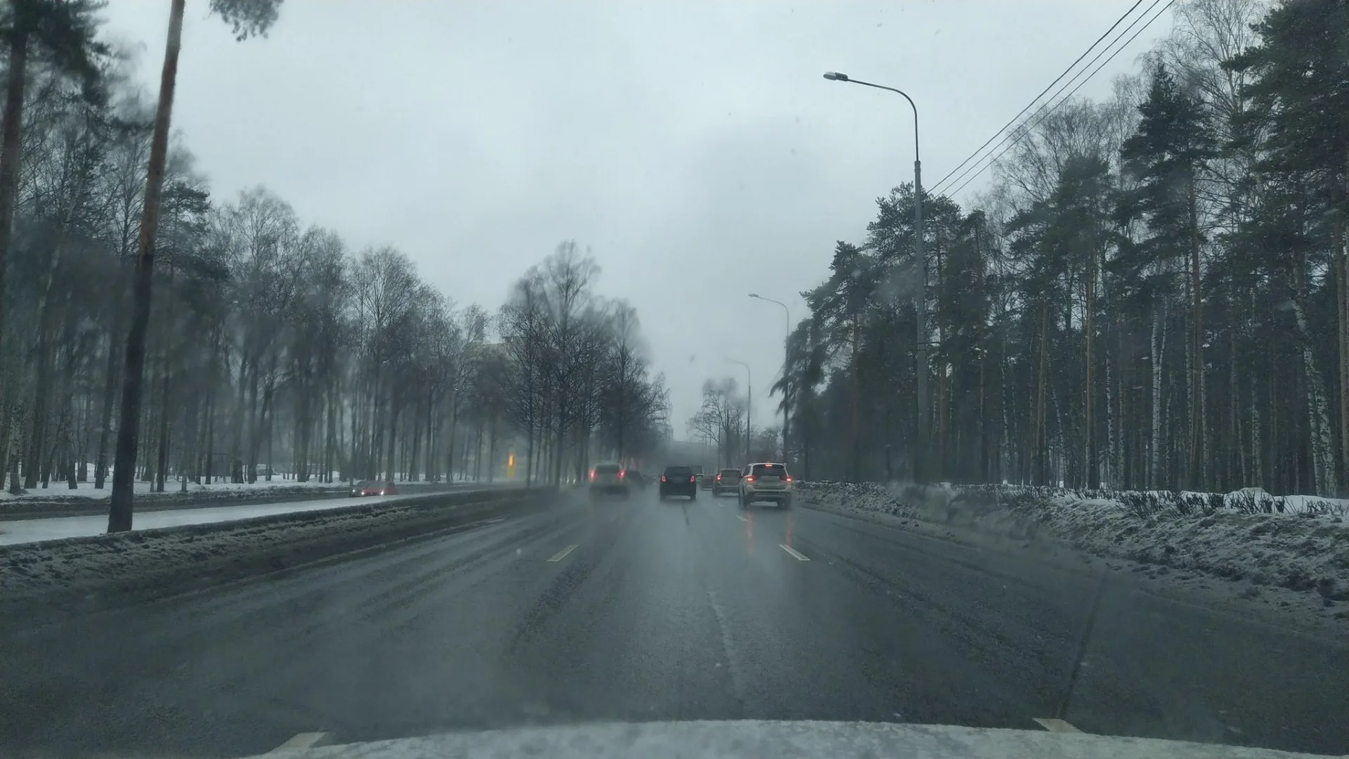 Маршрут «Петроградская — Мурино», 6,5 км
