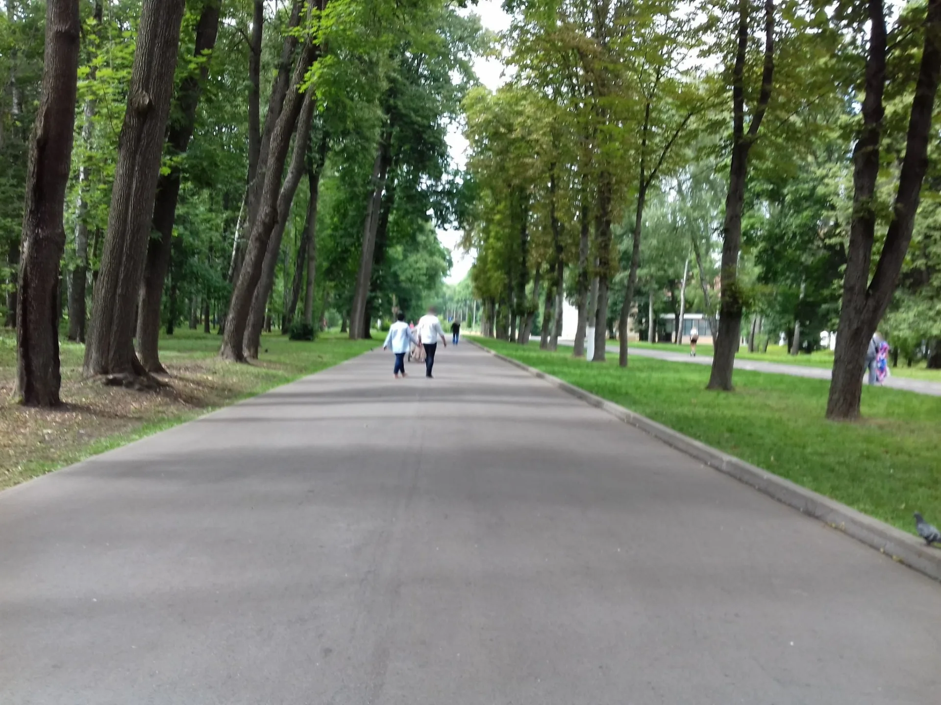 Маршрут «Петровский — ЦПКиО», 20,0 км