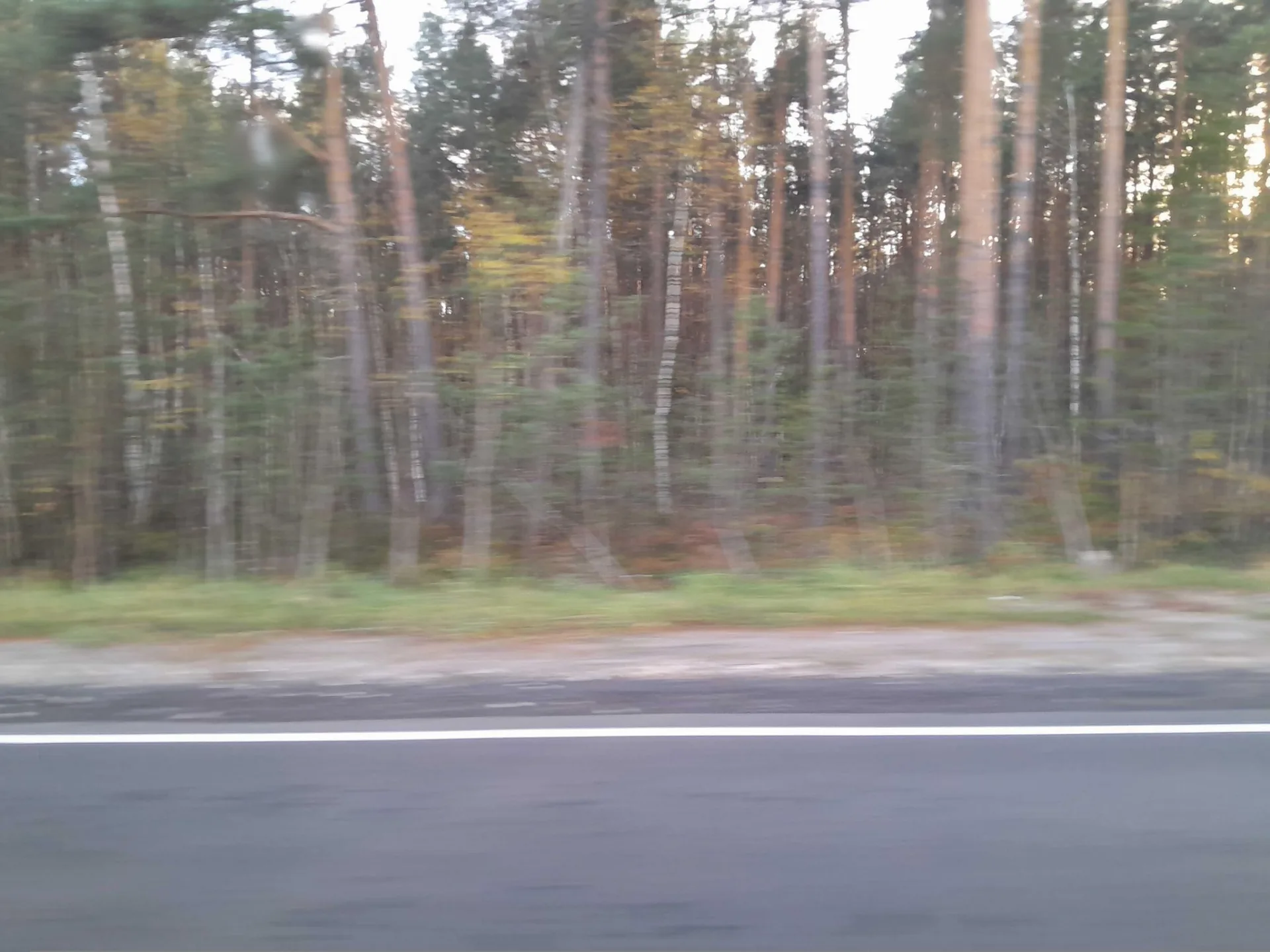 Маршрут «Петушки — Черусти», 66,8 км