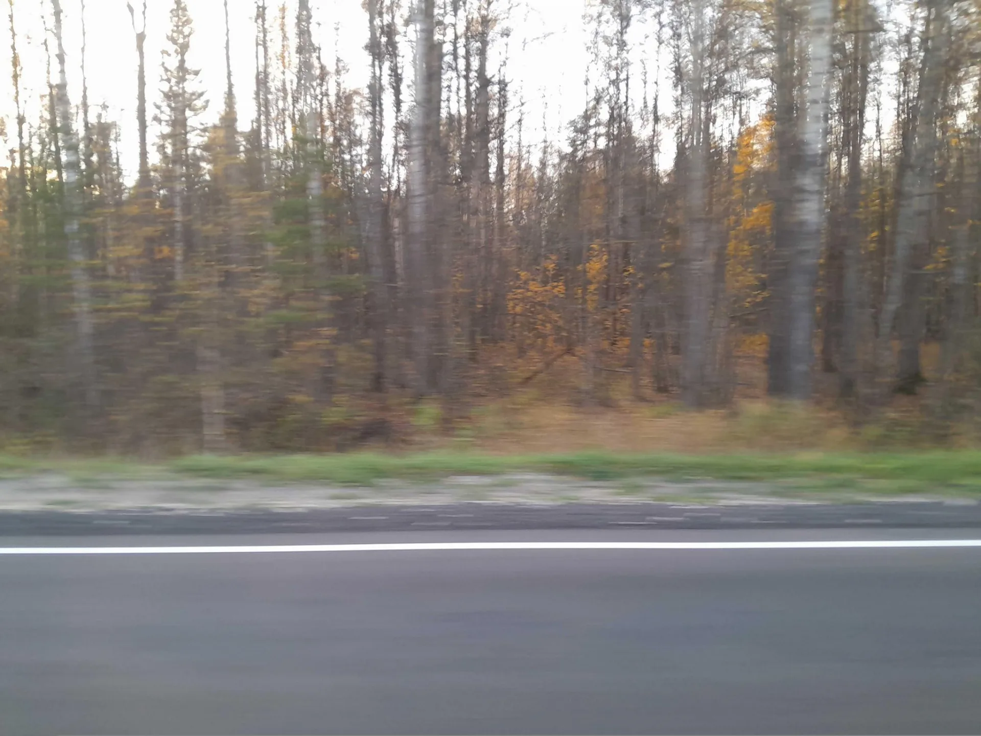 Маршрут «Петушки — Черусти», 69,9 км