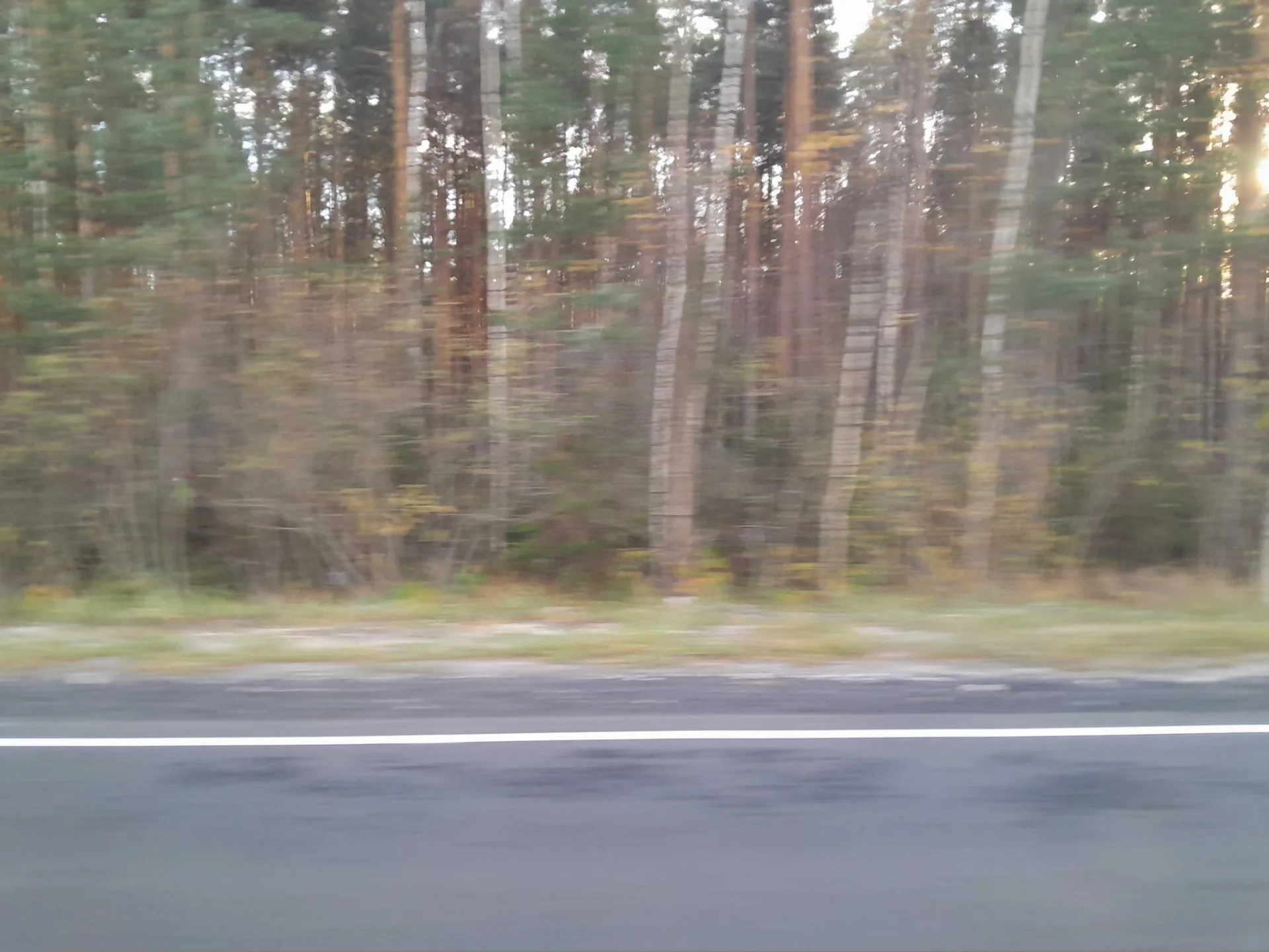 Маршрут «Петушки — Черусти», 65,7 км