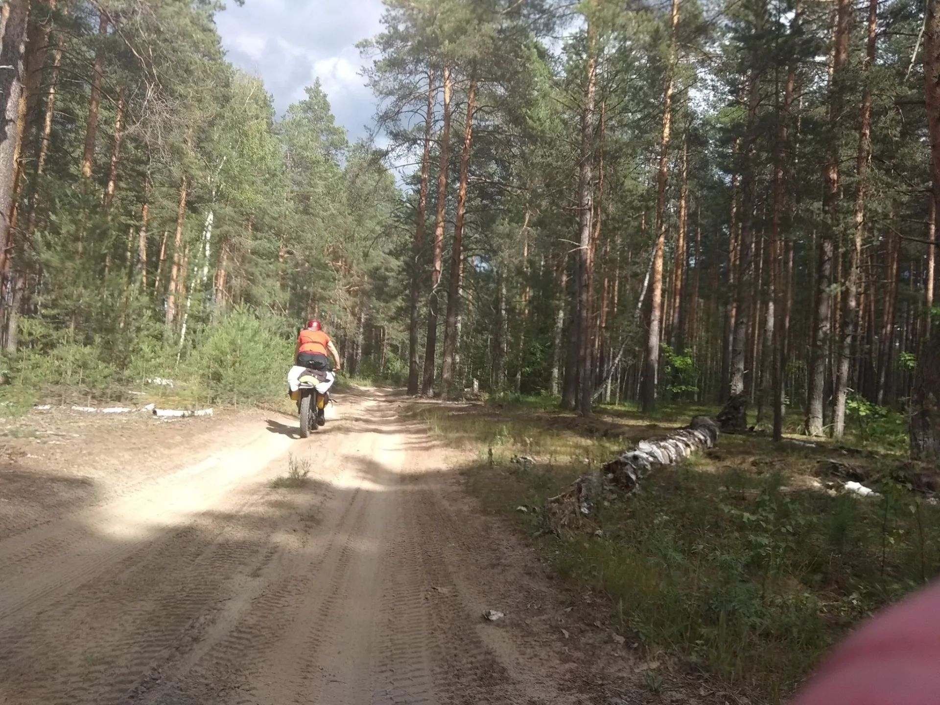 Маршрут «Петушки — Кривандино», 40,9 км