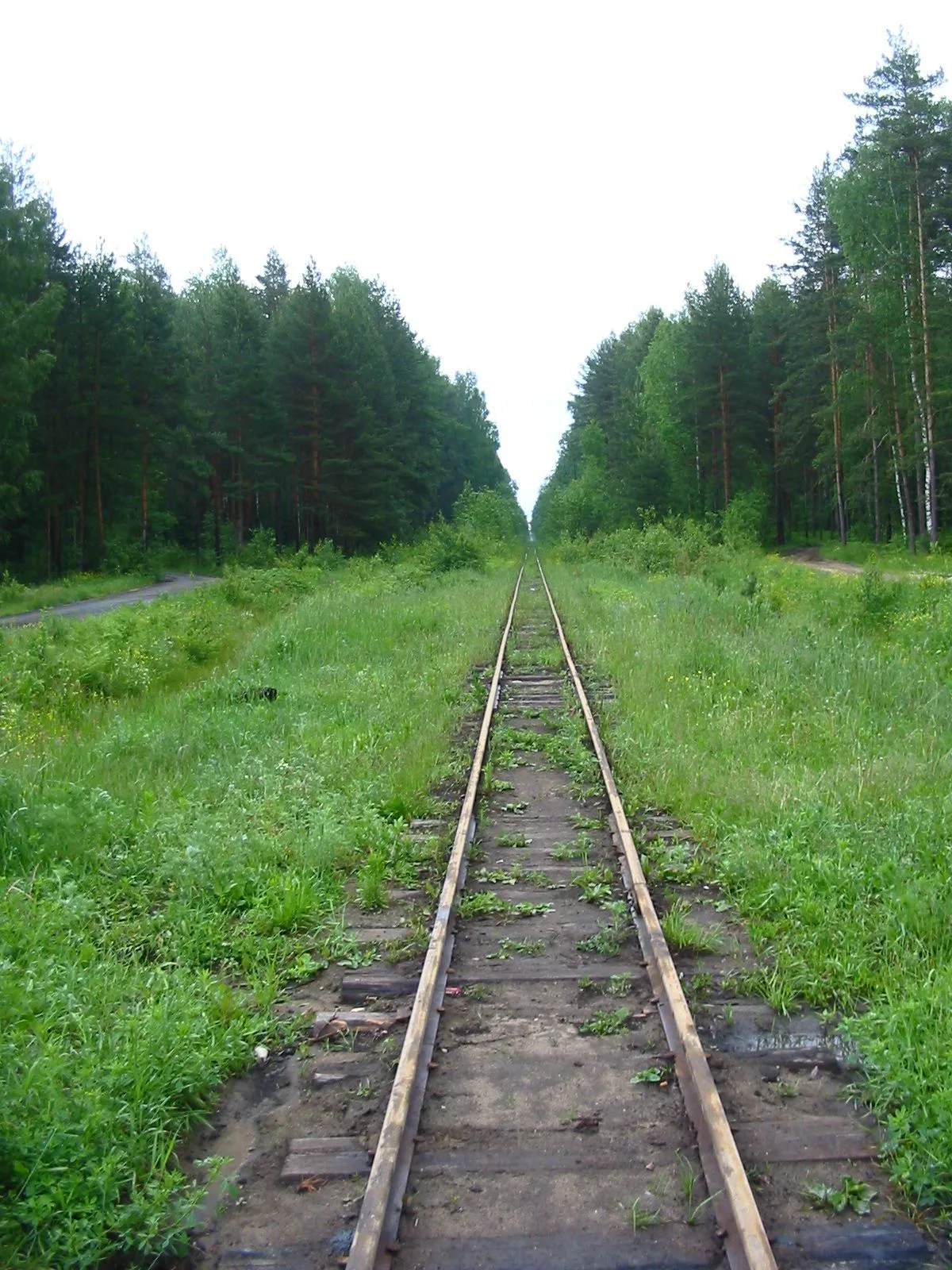 Маршрут «Петушки — Кривандино», 53,1 км