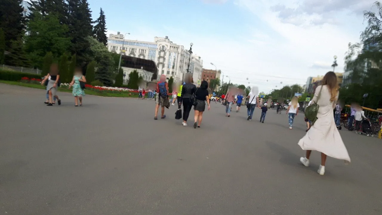 Маршрут «Пионерская — Крестовский», 5,9 км