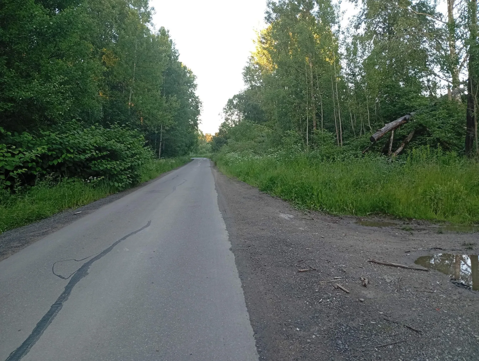 Маршрут «Пионерский — Городок», 39,2 км