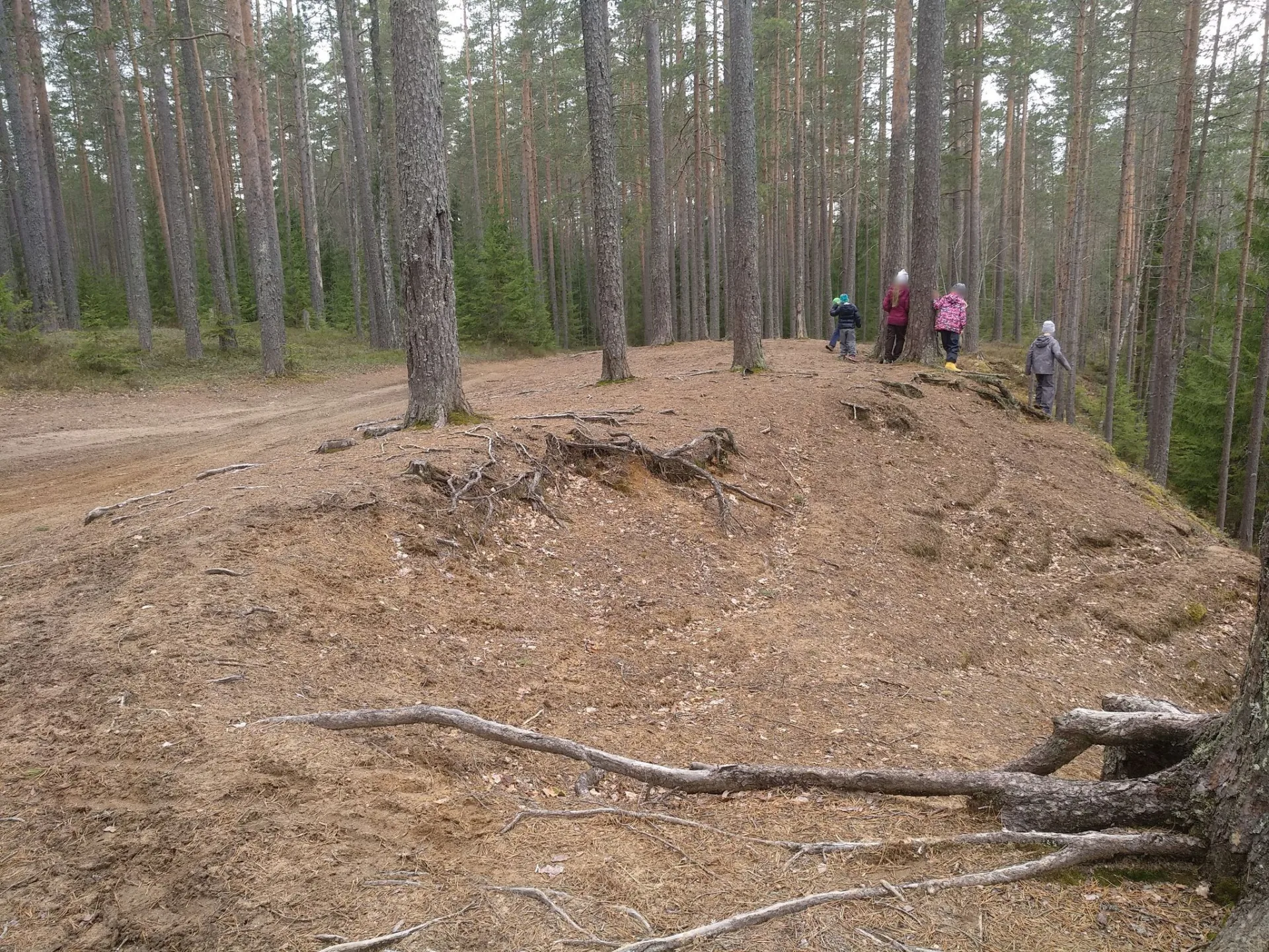 Маршрут «Платформа 54-й километр — Орехово», 16,5 км