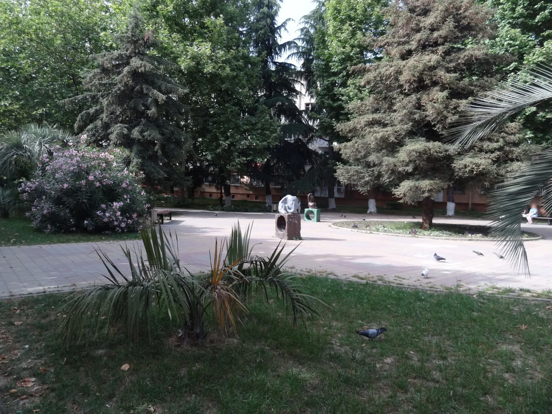 Маршрут «По Адлеру», 9,3 км