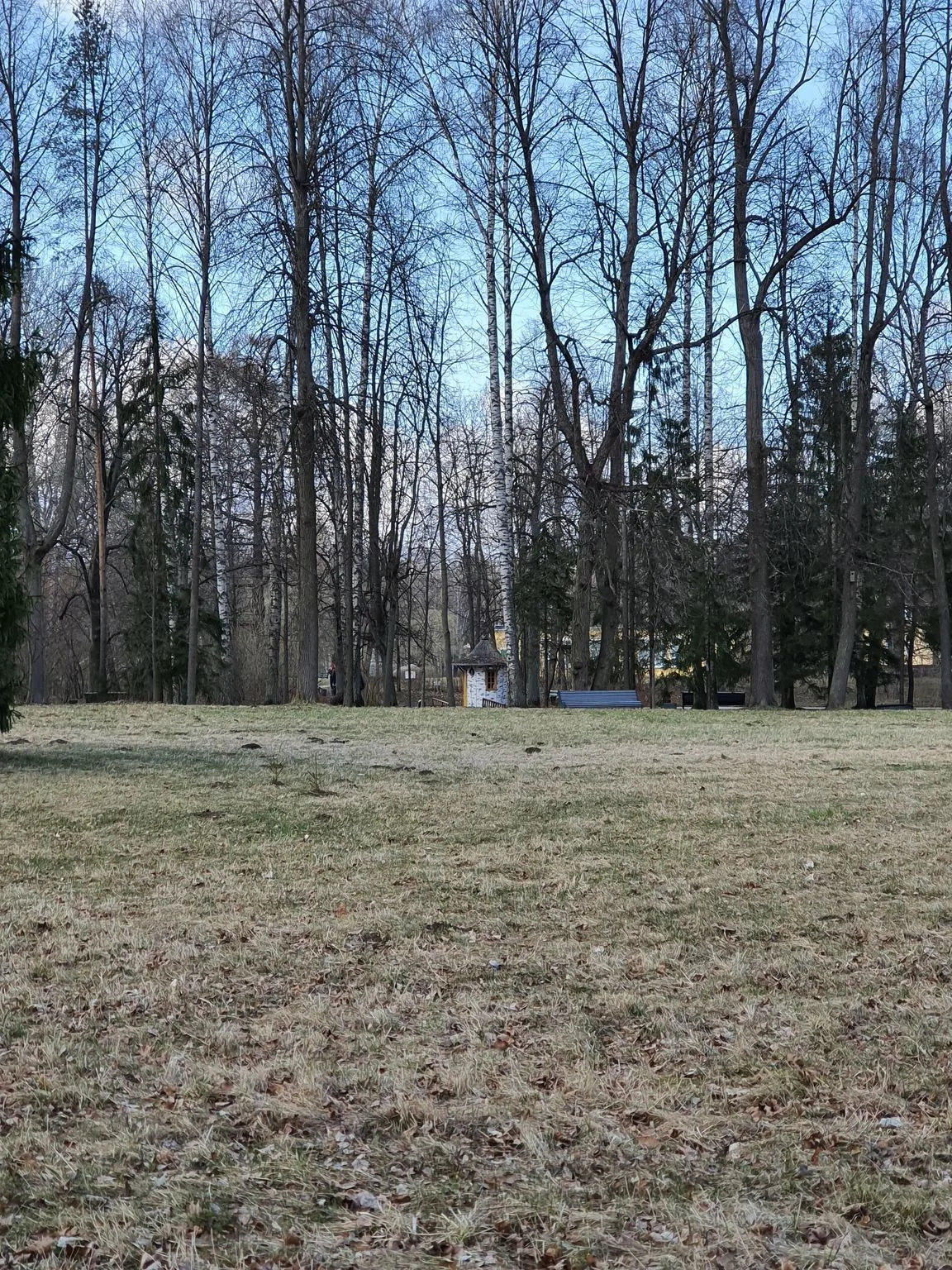 Маршрут «По аллеям Павловского парка», 5,5 км