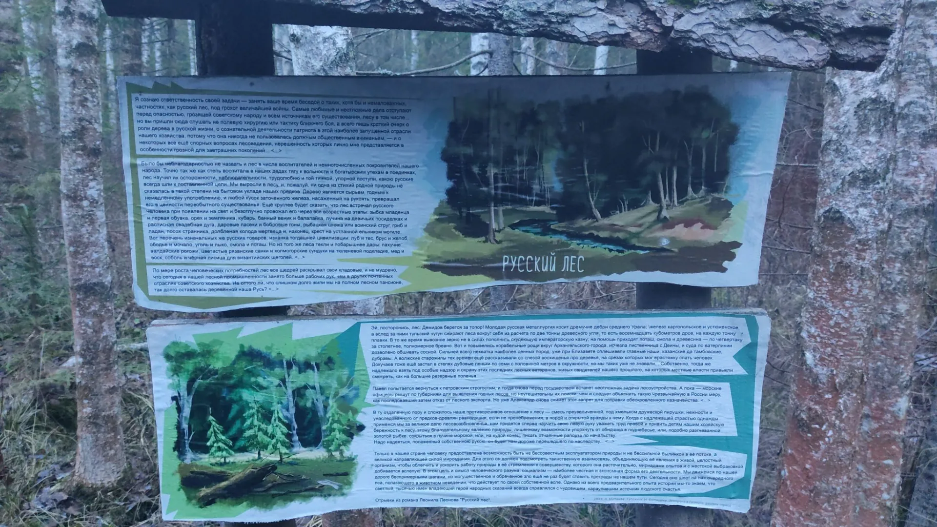 Маршрут «По Гатчине», 9,2 км