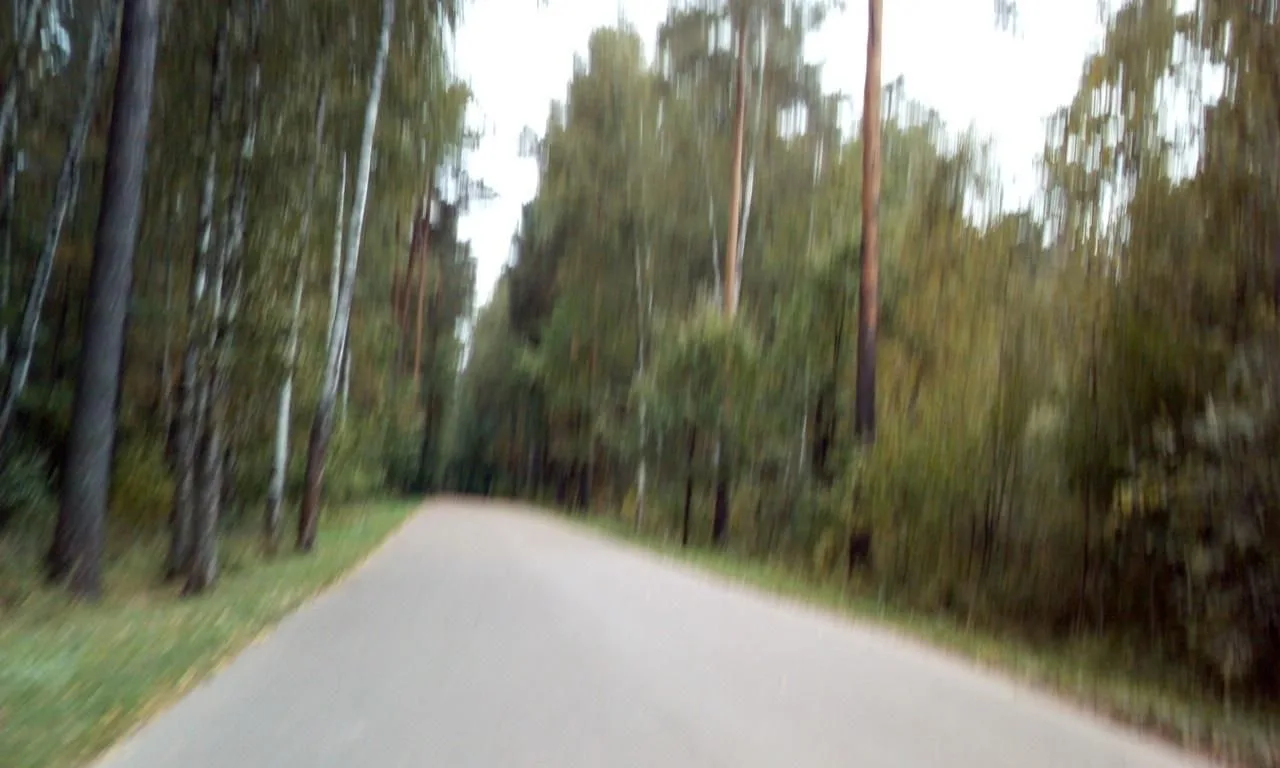 Маршрут «По Мещерскому парку», 16,6 км
