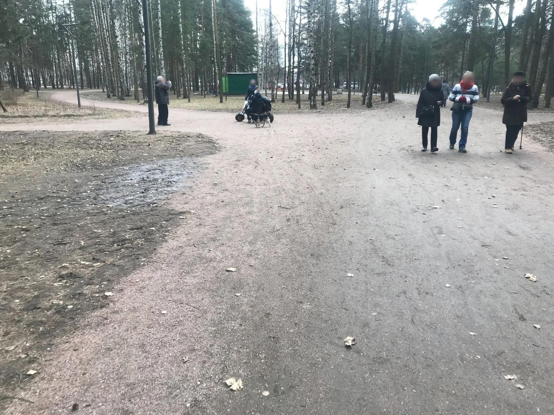 Маршрут «По парку Сосновая Поляна», 1,5 км