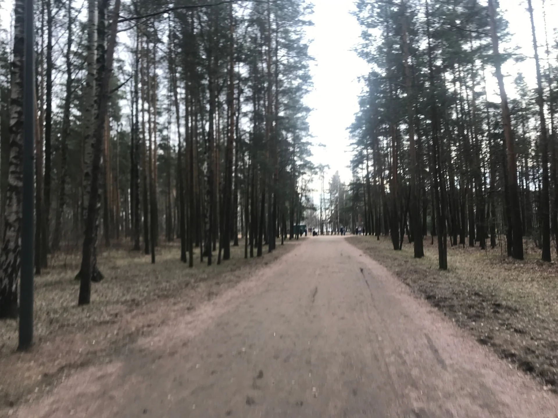 Маршрут «По Сосновке», 23,8 км