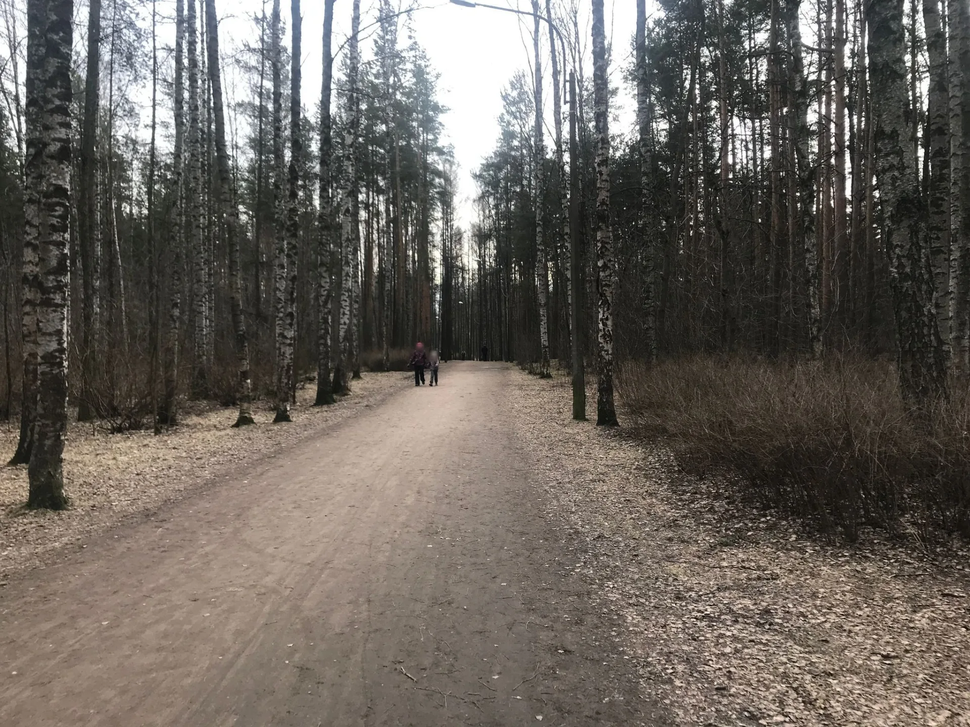 Маршрут «По Сосновке», 25,4 км