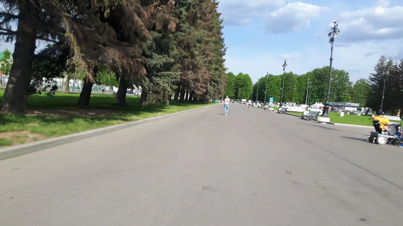 Маршрут «По Старой Деревне», 26,0 км