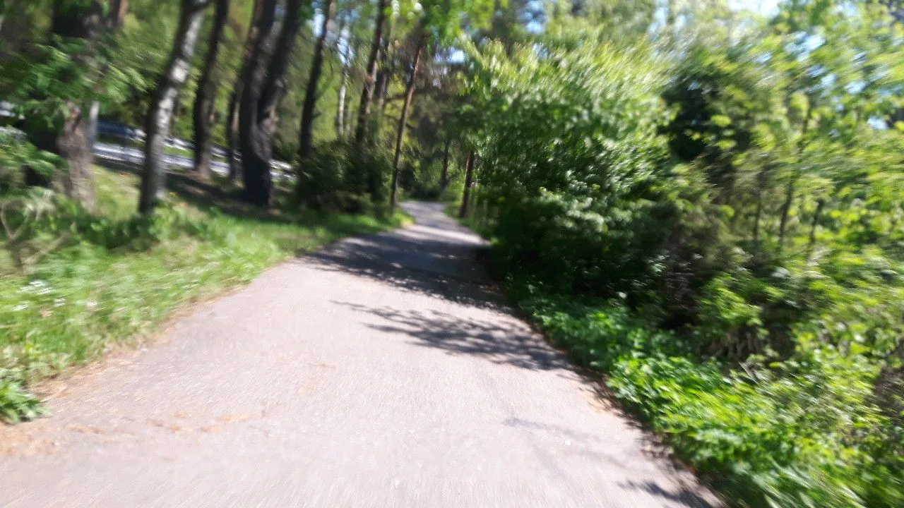 Маршрут «По Зеленогорску», 17,5 км
