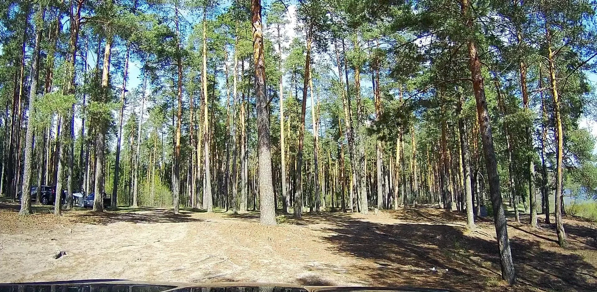 Маршрут «Подосинки — река Нерская», 1,2 км