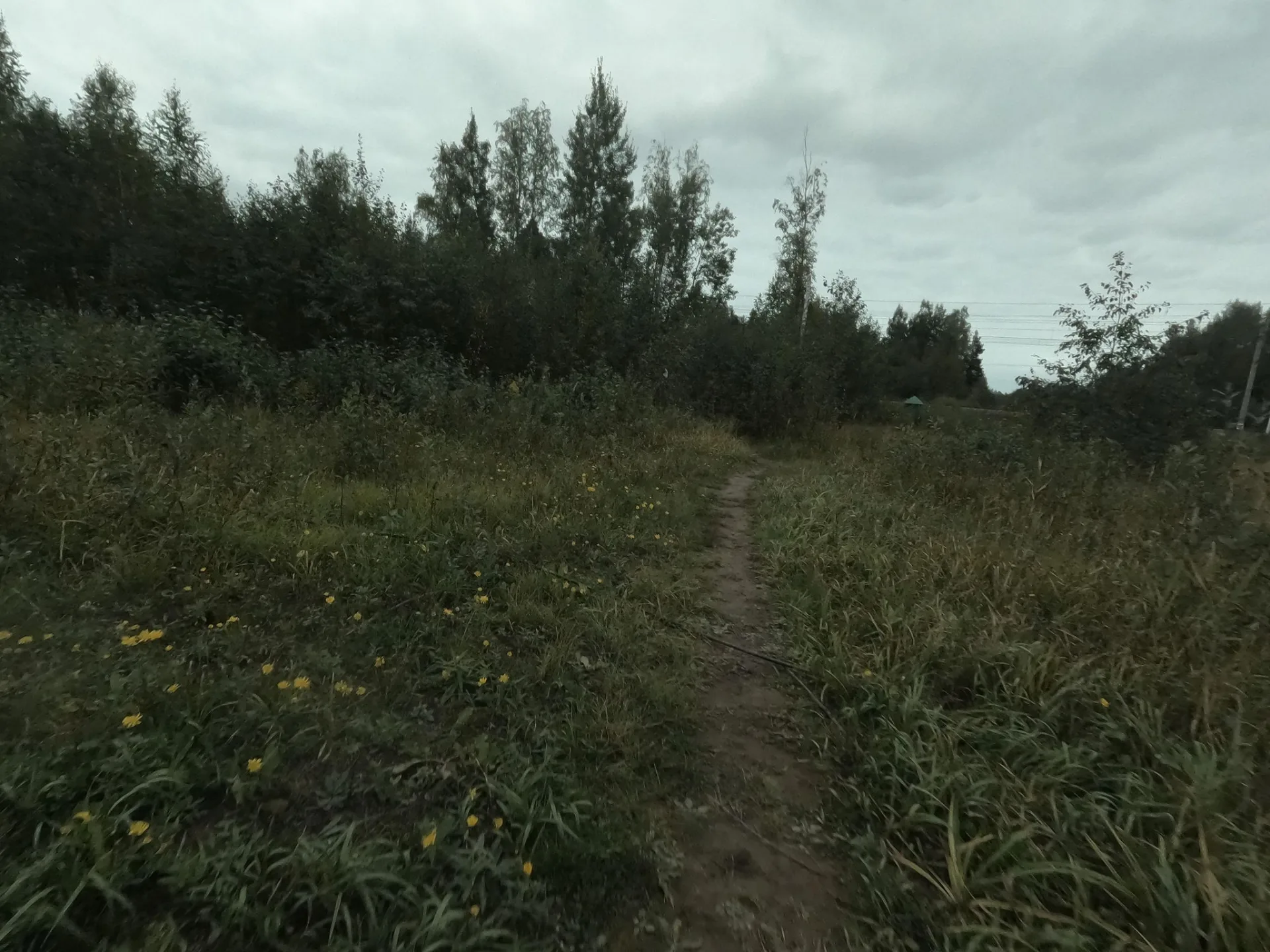 Маршрут «Поповка — Кембрийские глины», 19,1 км