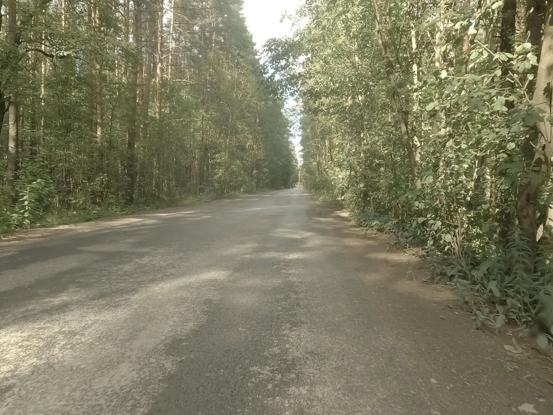 Маршрут «Проспект Большевиков — Всеволожск», 20,9 км