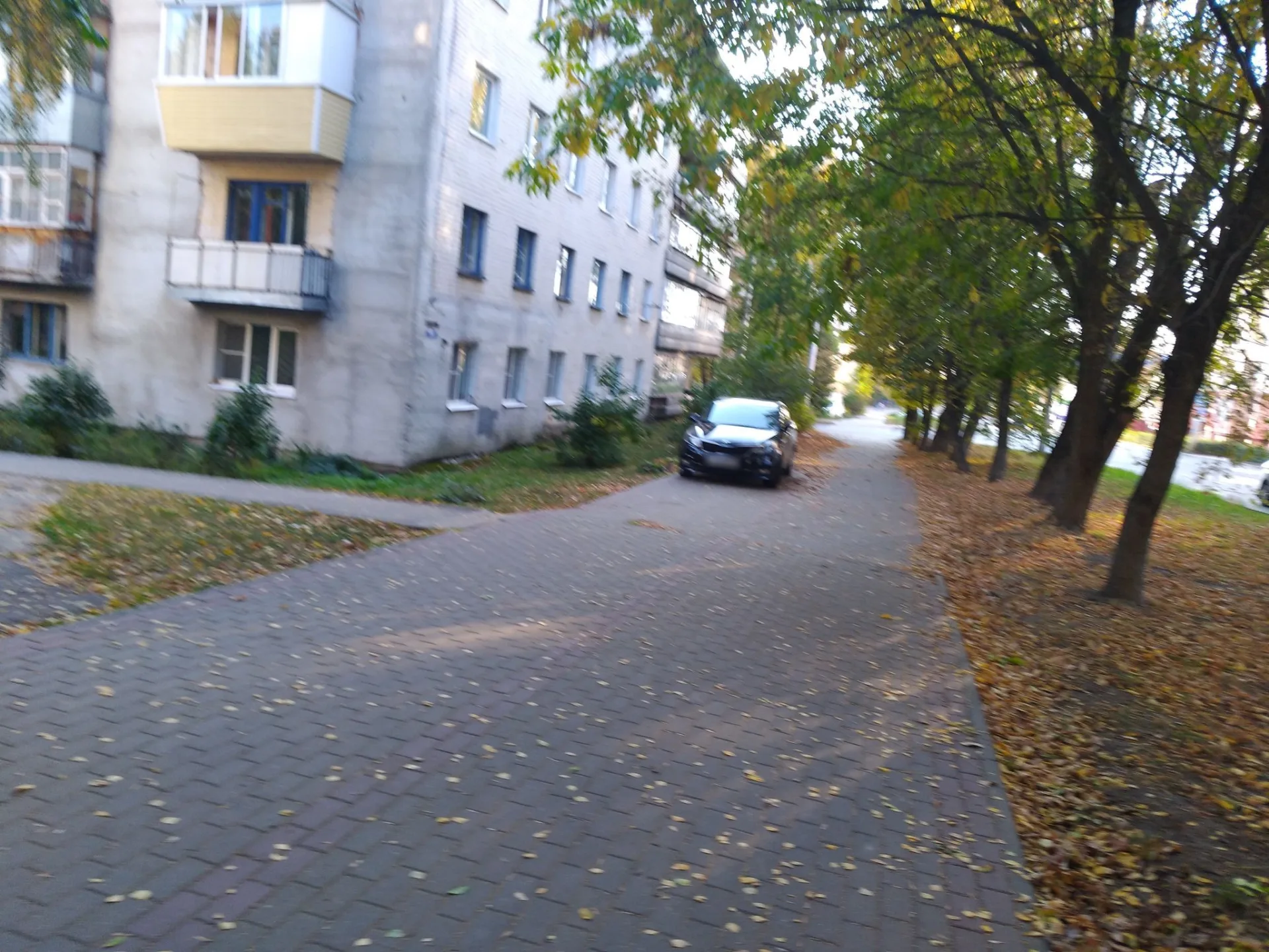 Маршрут «Пуховский пруд — Анненский мост», 1,3 км