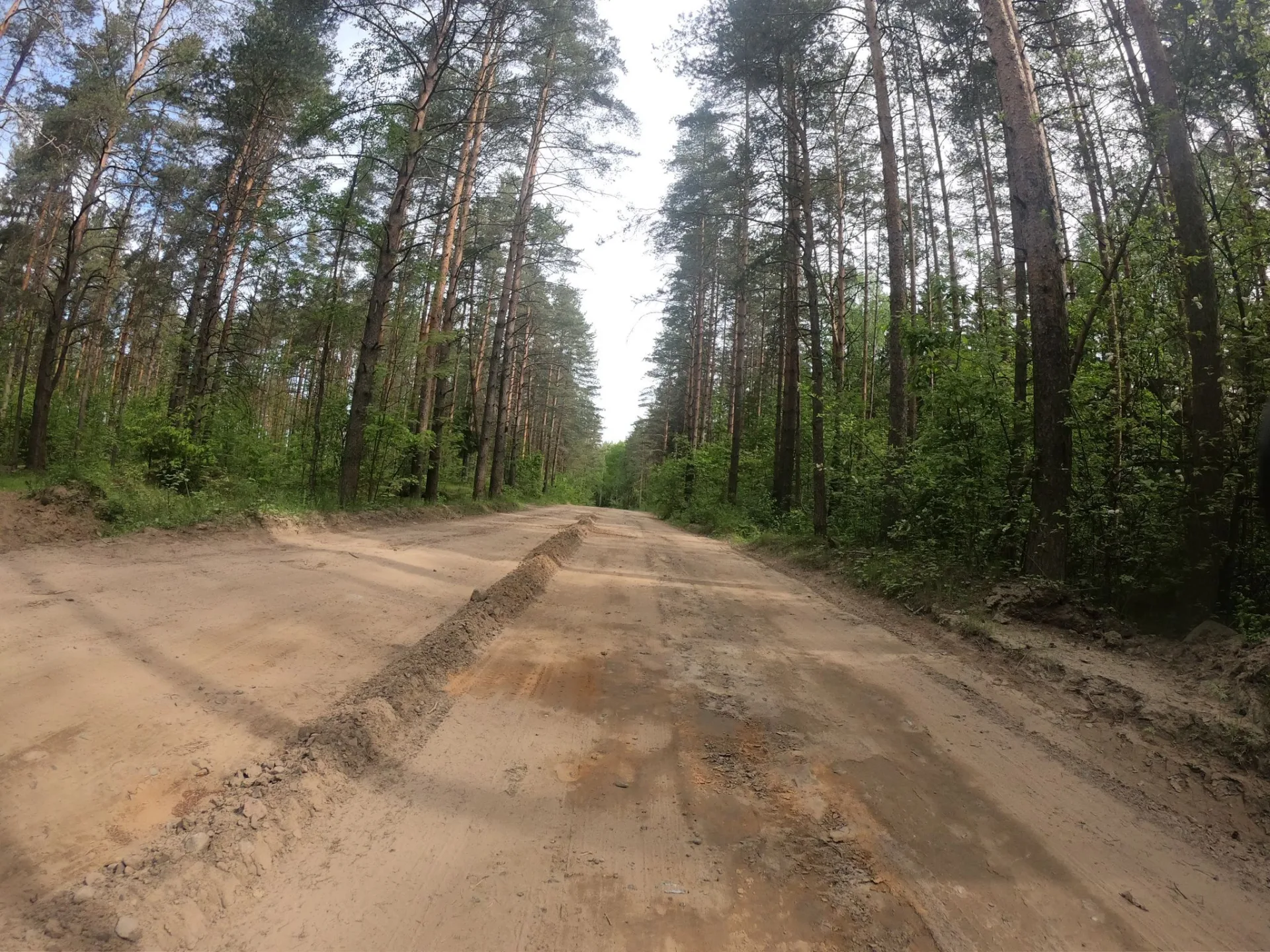 Маршрут «Радченко — Пискарёвка», 11,3 км