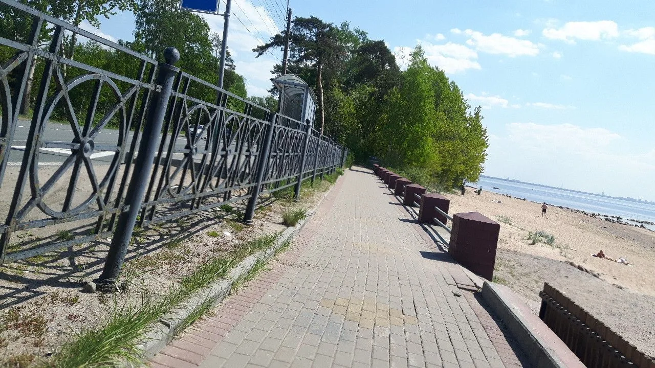 Маршрут «Репино — Комарово», 0,3 км