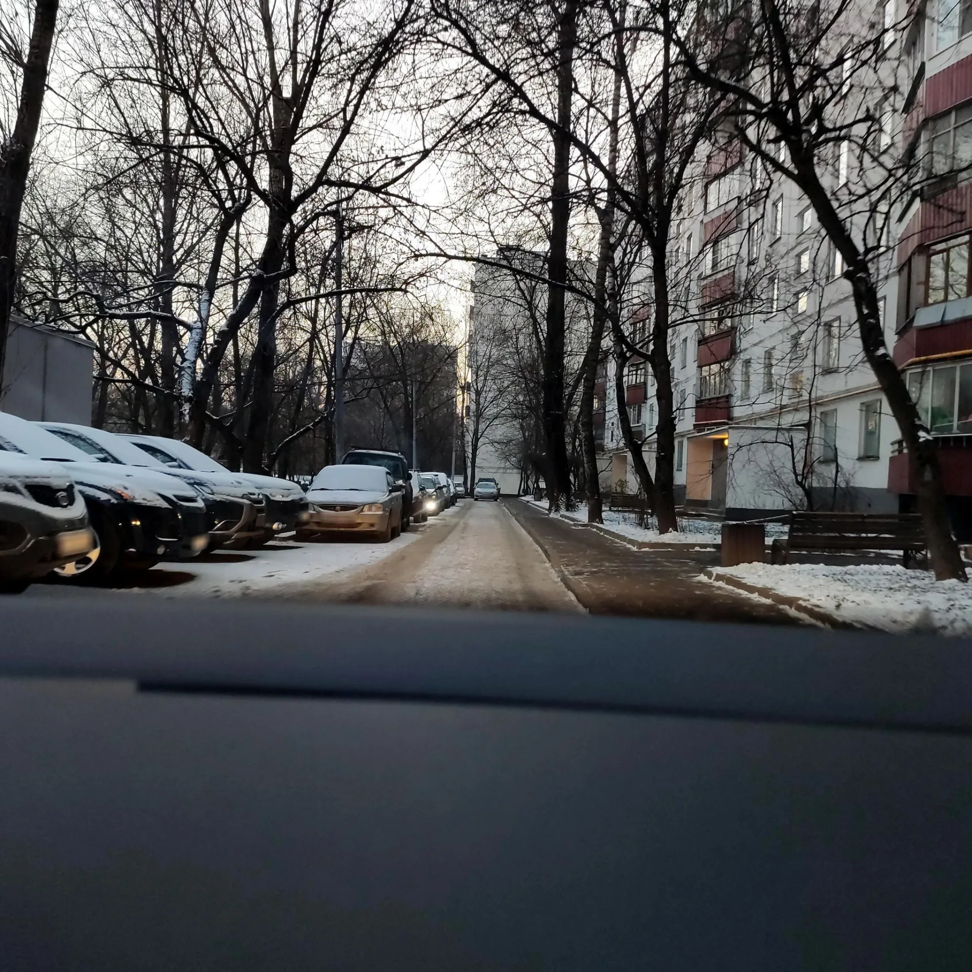Маршрут «Реутово — Лосиный Остров — Ботанический сад — Новокосино», 10,1 км