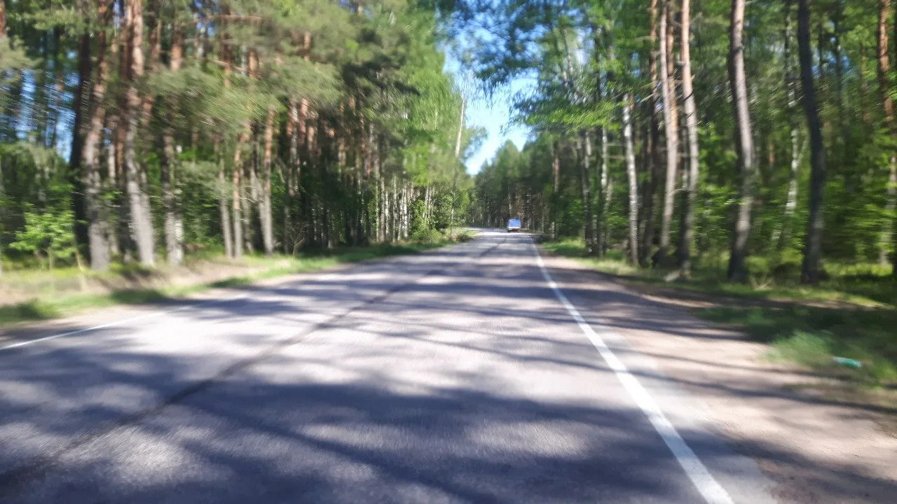 Маршрут «Рябово — Зеленогорск», 17,4 км