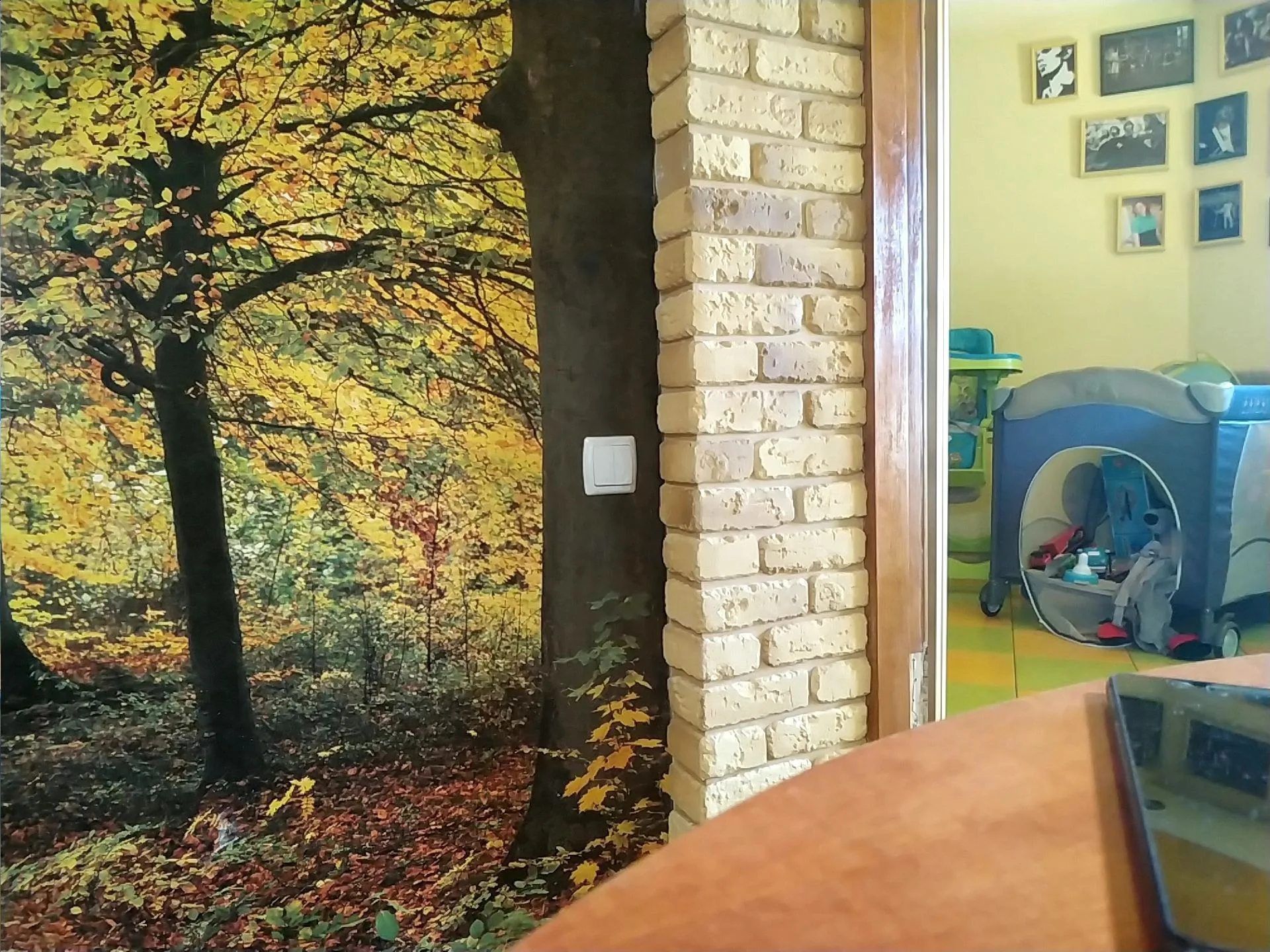 Маршрут «Родник реки Цны — Ласточкины гнёзда», 6,8 км