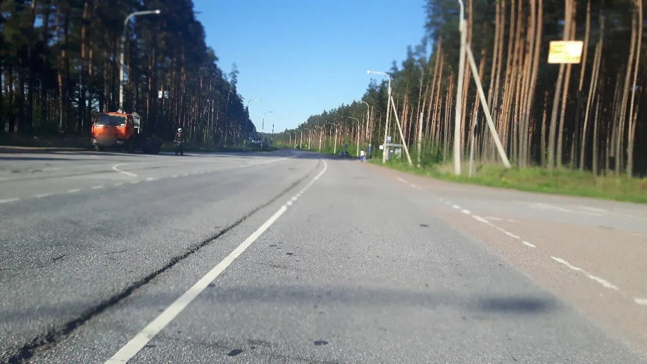Маршрут «Рощино — Зеленогорск», 44,3 км