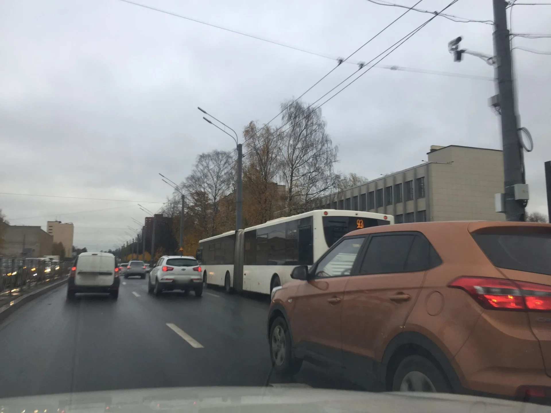 Маршрут «Ржевка — Сосновка», 19,5 км