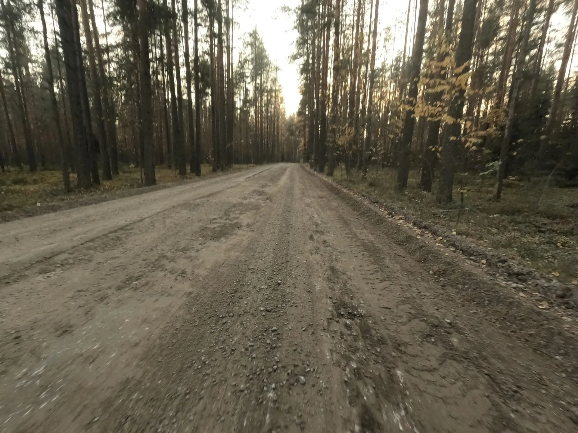 Маршрут «Санкт-Петербург — Зеленогорск», 66,6 км